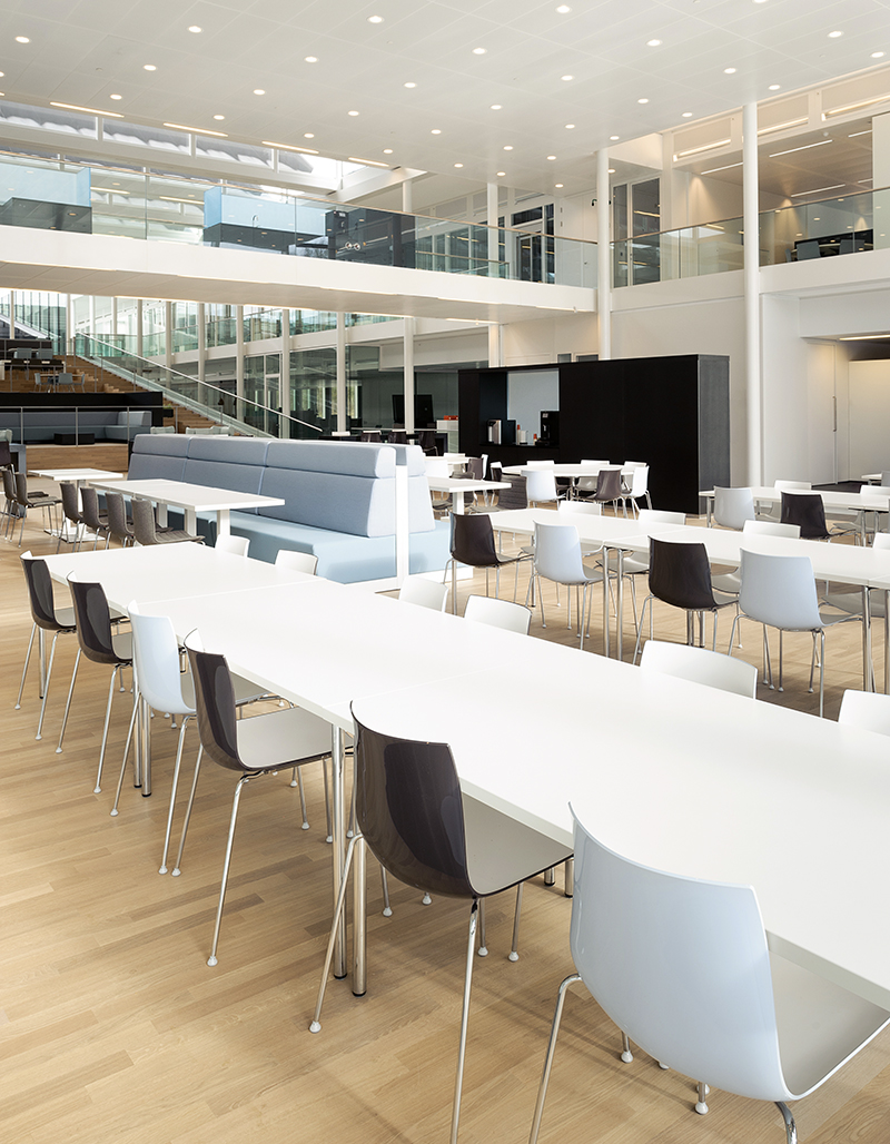 开云（中国） - 坐具|餐椅|办公家具|设计师家具|Catifa 46 餐椅